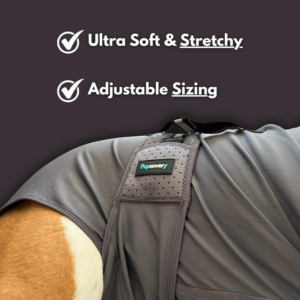 Pupcovery Dog Recovery Suit